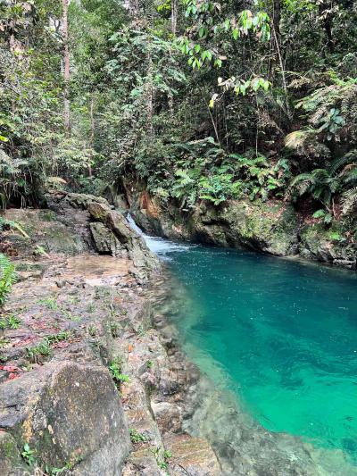 With climate change, keeping protected rainforest rainforest will become more and more critical for water resources. © JM Roda